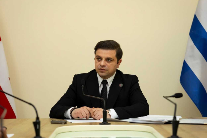 Sotne Ananidze: Bidzina İvanişvilinin ən böyük xidmətlərindən biri siyasi partiya yaratmasıdır